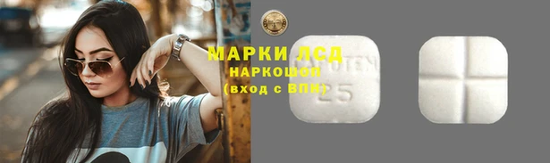 сатива Протвино