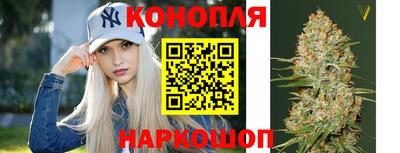 индика Жуковский