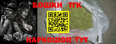 индика Жуковский