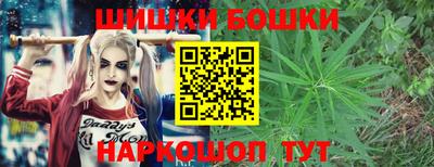 индика Жуковский