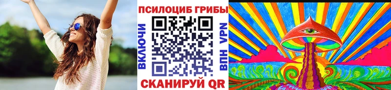 это телеграм  Нарткала  Галлюциногенные грибы Psilocybine cubensis 