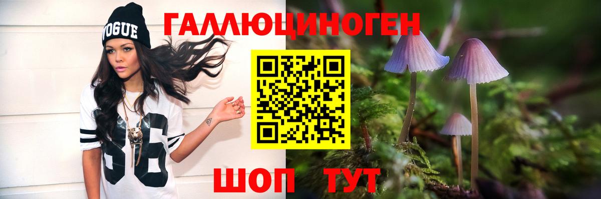 Галлюциногенные грибы Psilocybine cubensis  Вход с VPN  Псилоцибиновые грибы MAGIC MUSHROOMS  Нарткала 
